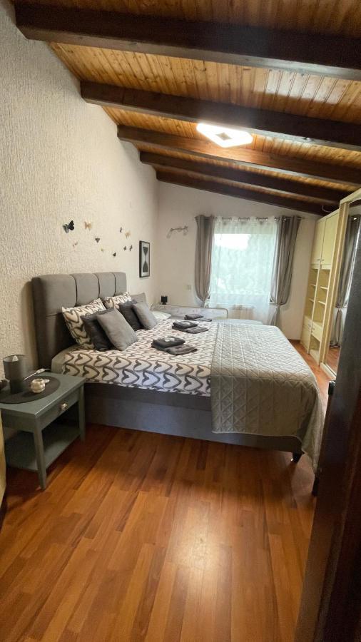 Lux Apartment Barbara 波雷奇 外观 照片