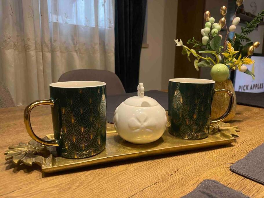 Lux Apartment Barbara 波雷奇 外观 照片