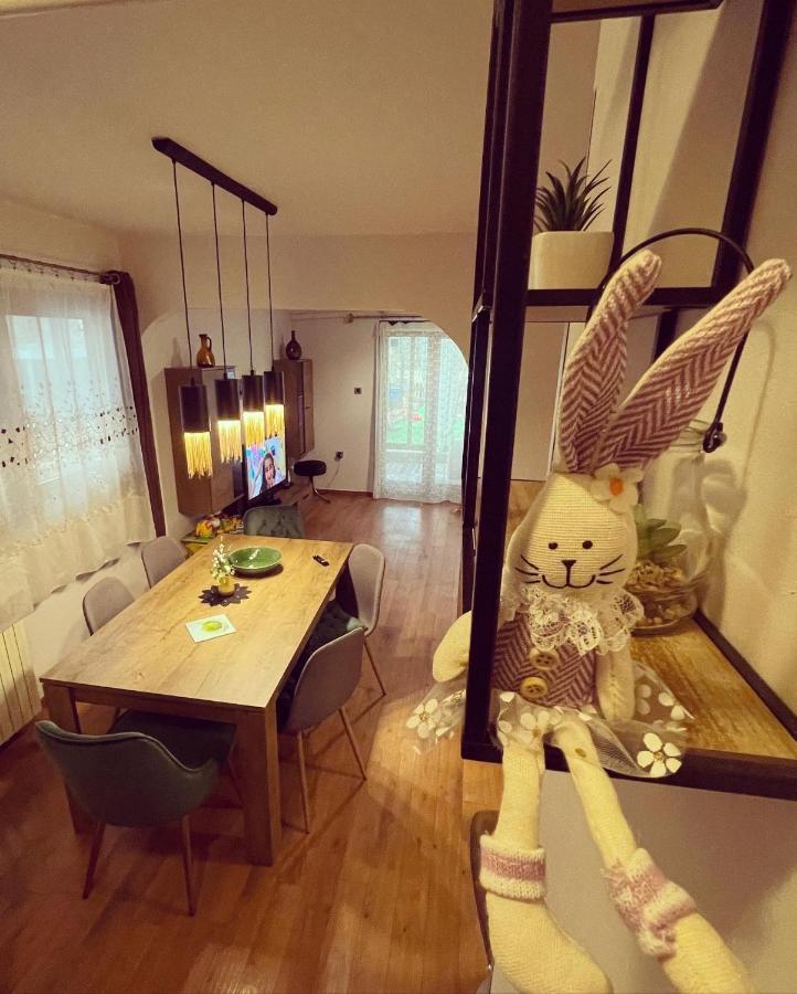 Lux Apartment Barbara 波雷奇 外观 照片