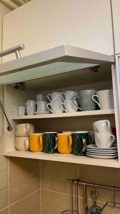 Lux Apartment Barbara 波雷奇 外观 照片